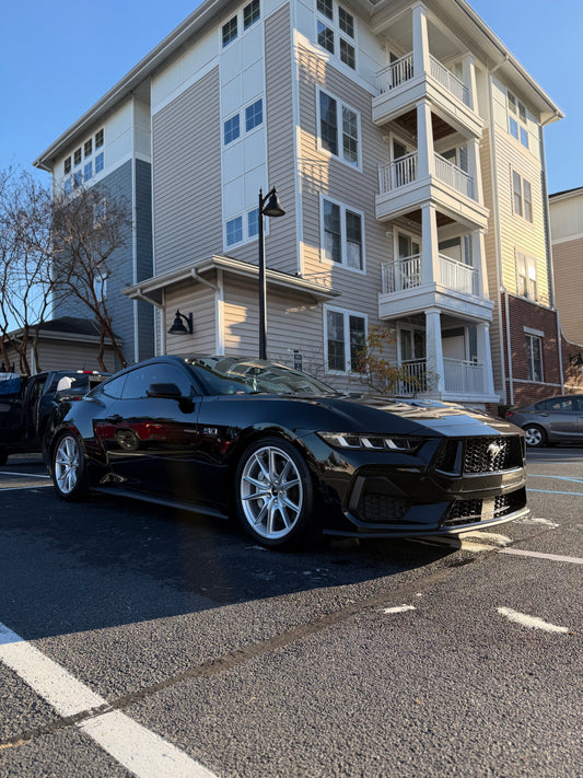 Freshly Detailed Mustang
